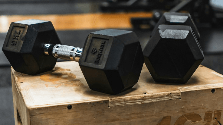 THE STANDARD PDF | Build Lean Muscle at Home
