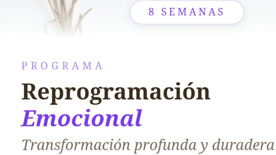 Coaching🪻8 SEMANAS PARA VOLVER A TI