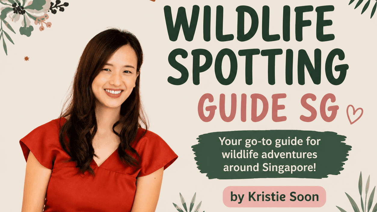 Wildlife Spotting Guide in SG