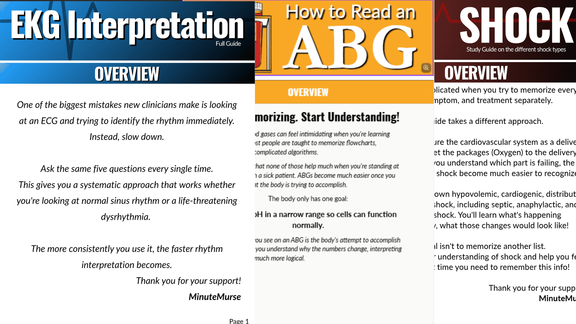 BUNDLE! EKG, ABG, and Shock Study Guide