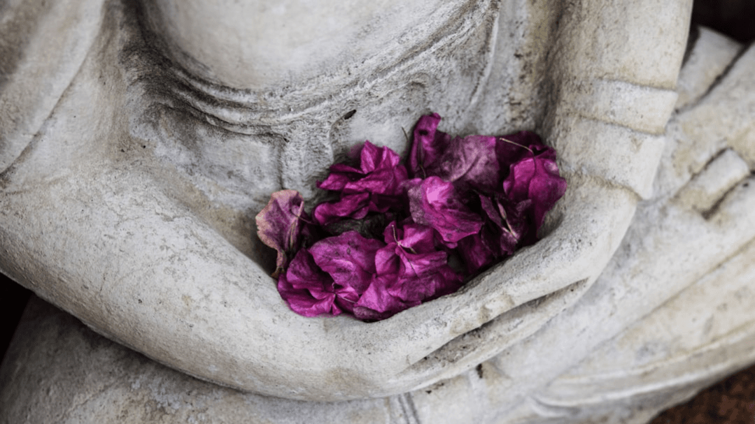 Chiron Guided Meditation + Bach Flower