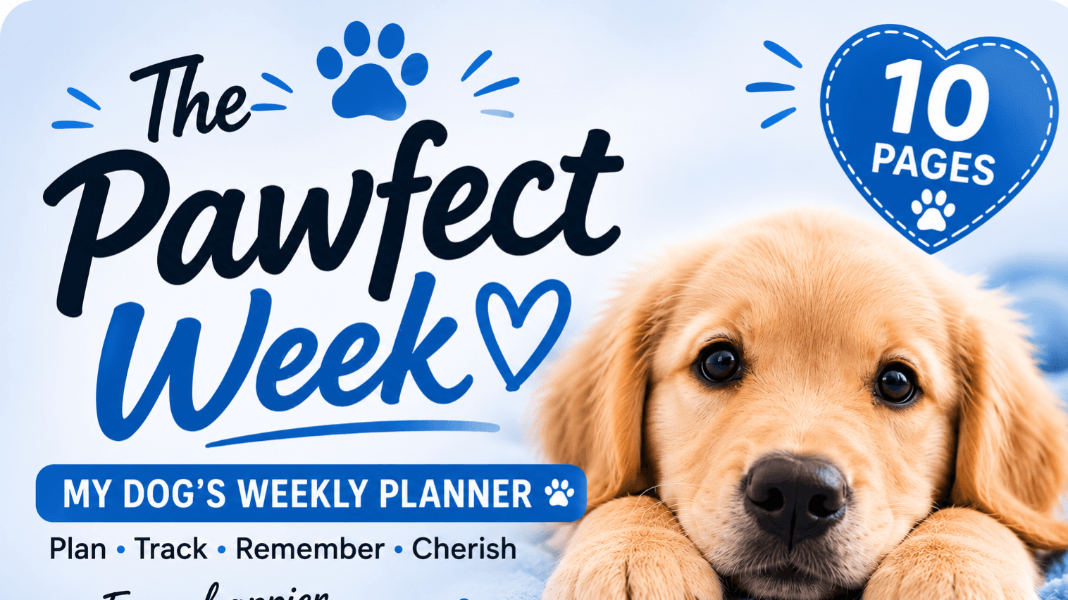 The Pawfect Week š¾