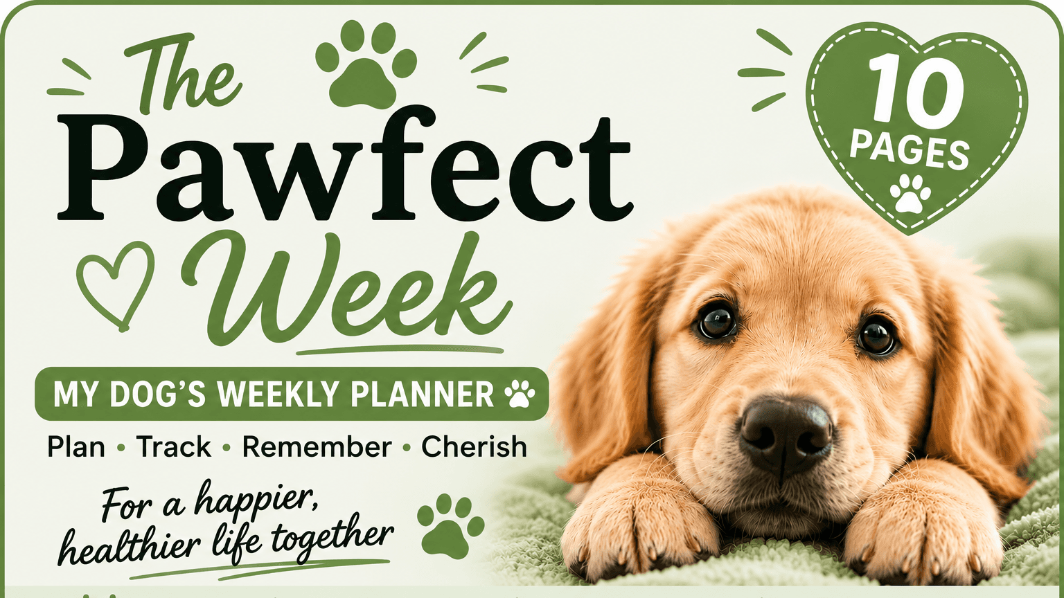 The Pawfect Week 🐾