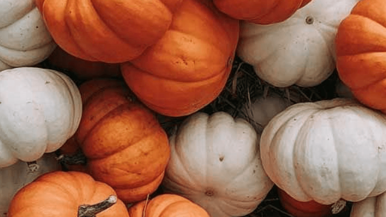 Get My October Instructional Coach Toolkit