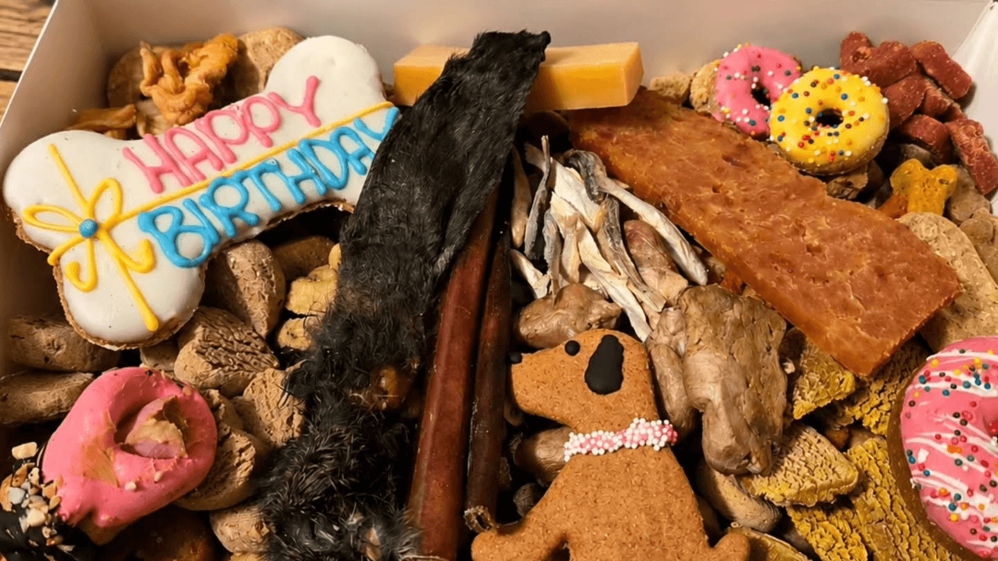 Monthly Barkcuterie Treat Box