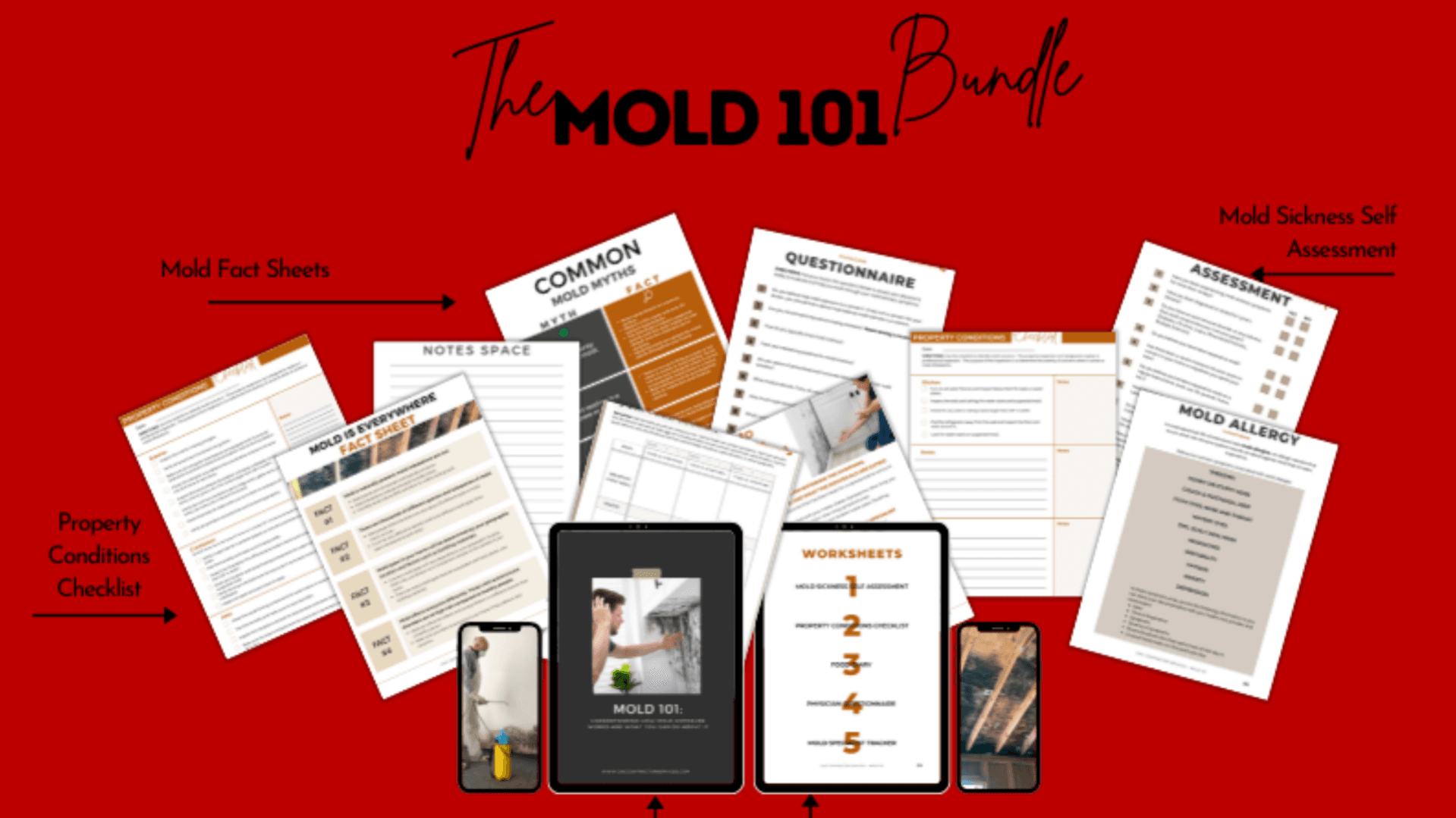 Mold 101 Bundle