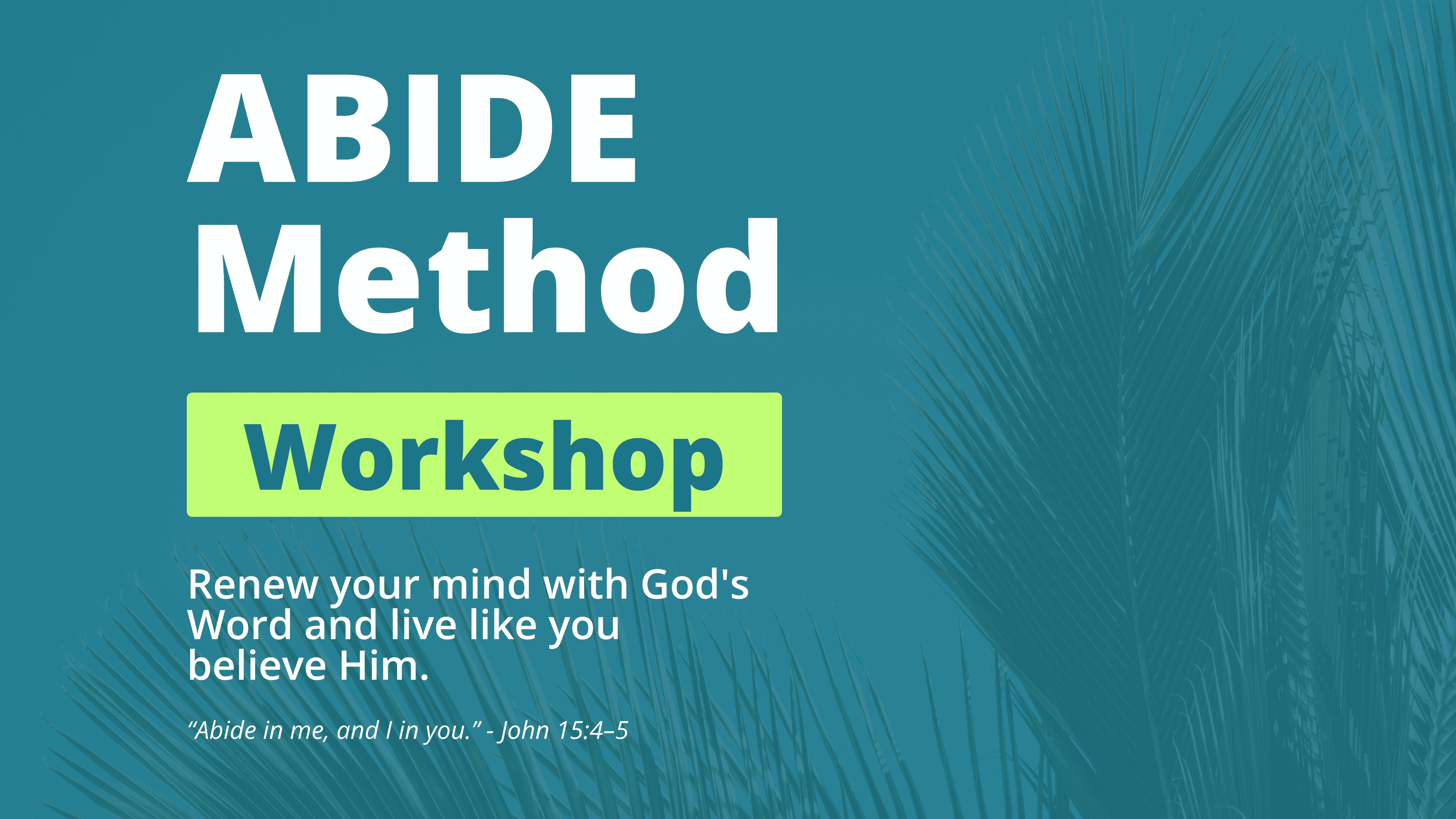 The ABIDE Workshop