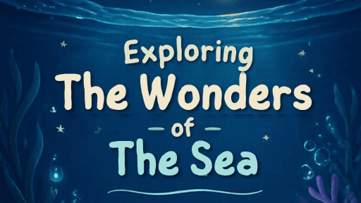 Exploring The Wonders of the sea!