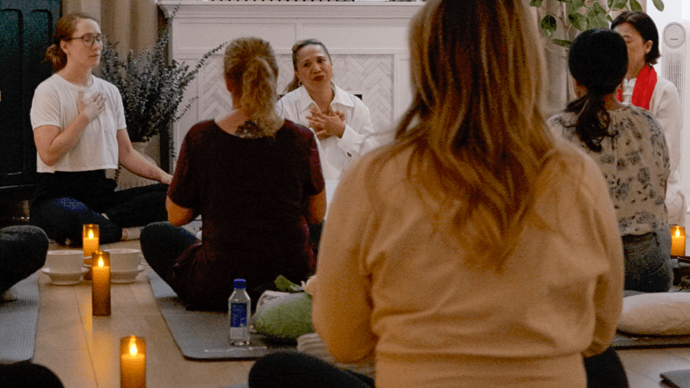 Nervous System Reset VIP