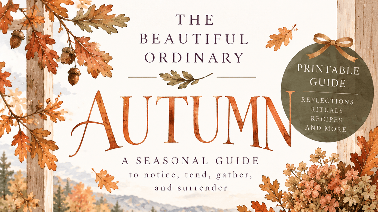 The Beautiful Ordinary: Autumn 🍂