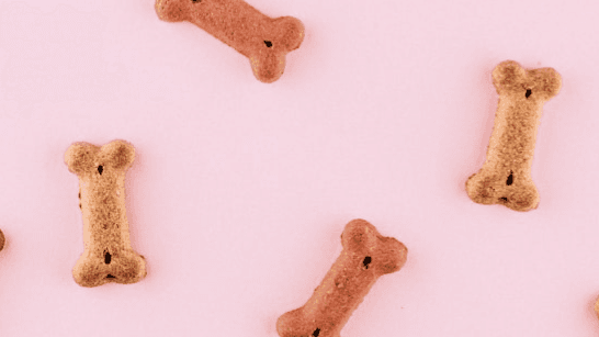 Gluten free Blue Berry Bones