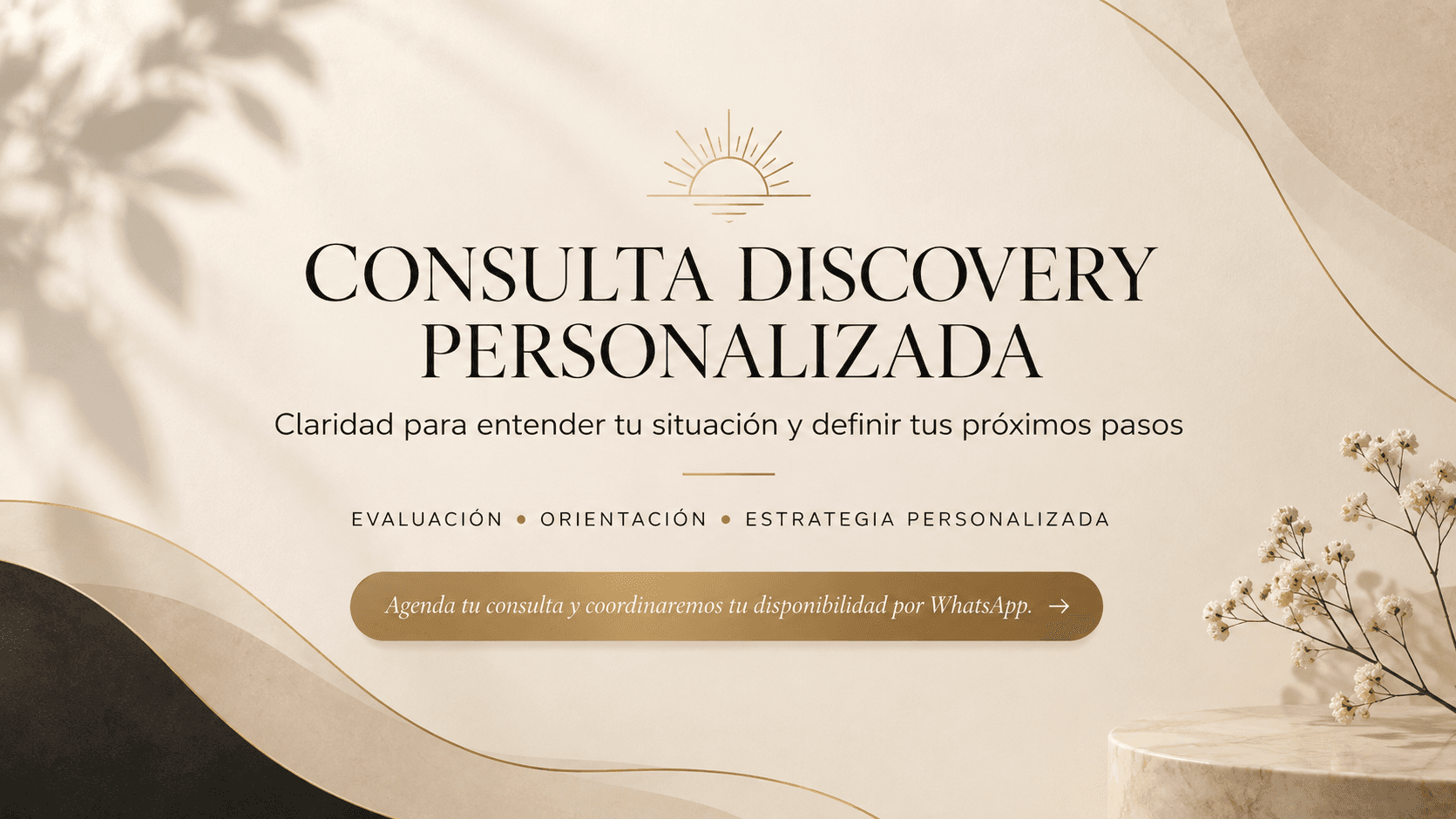 CONSULTA DISCOVERY PERSONALIZADA (Copy)