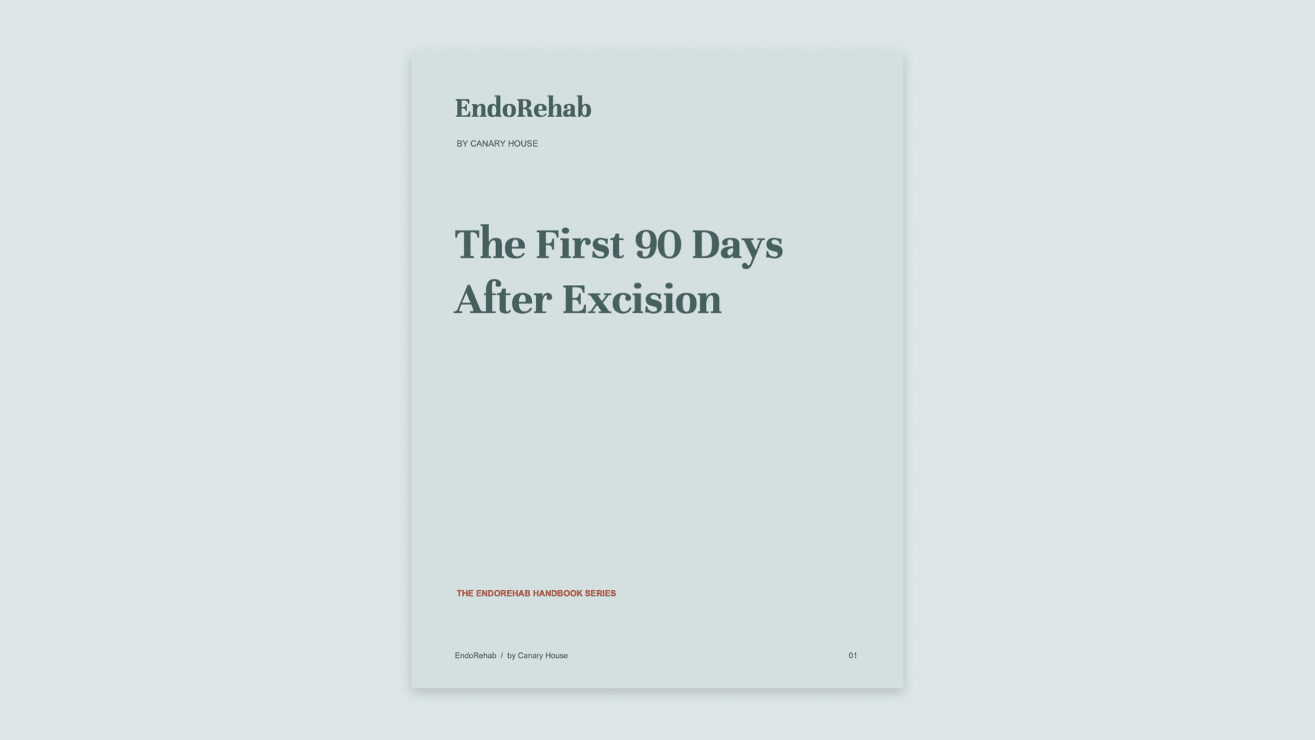The First 90 Days After Excision