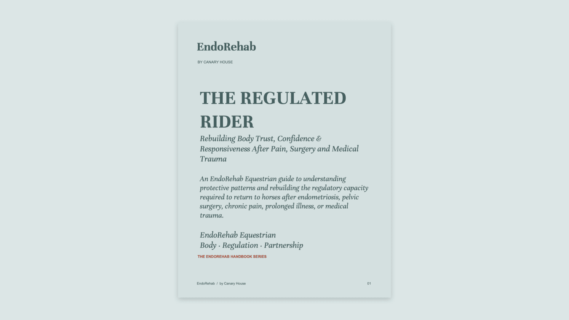 The Regulated Rider