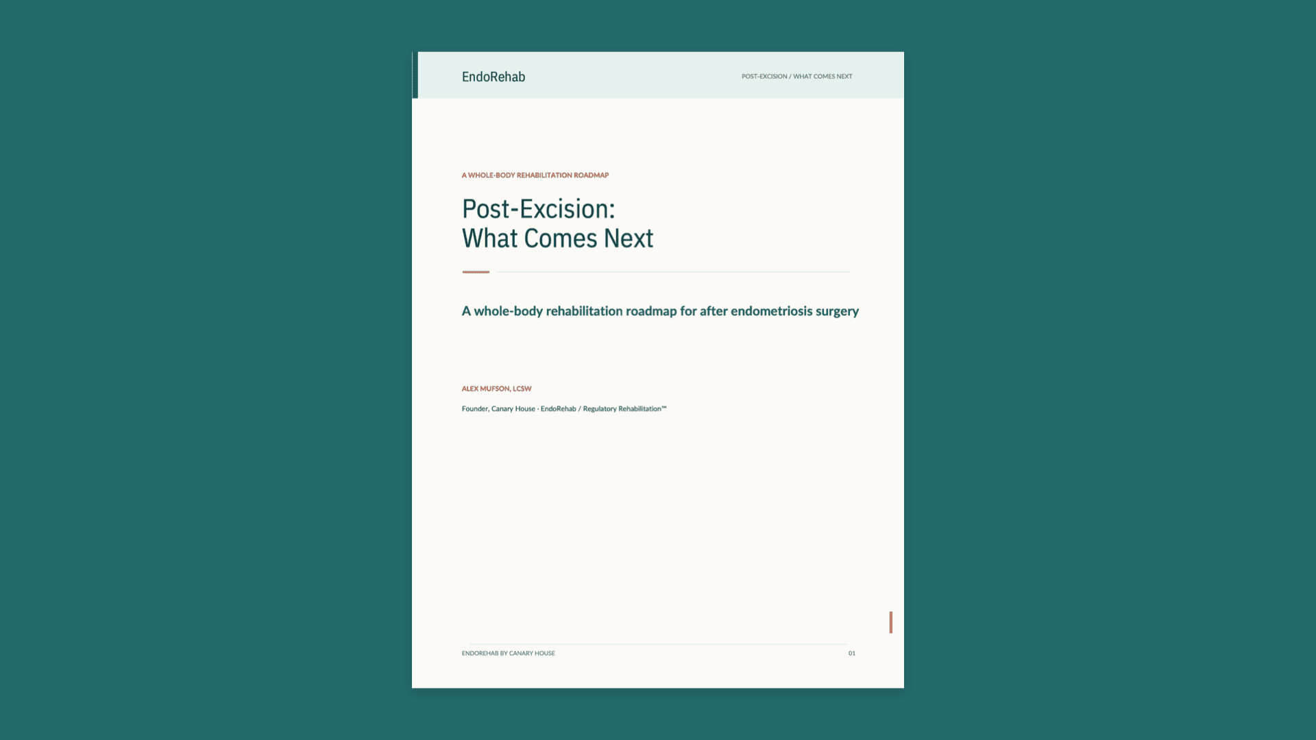 The EndoRehab Post-Excision Roadmap