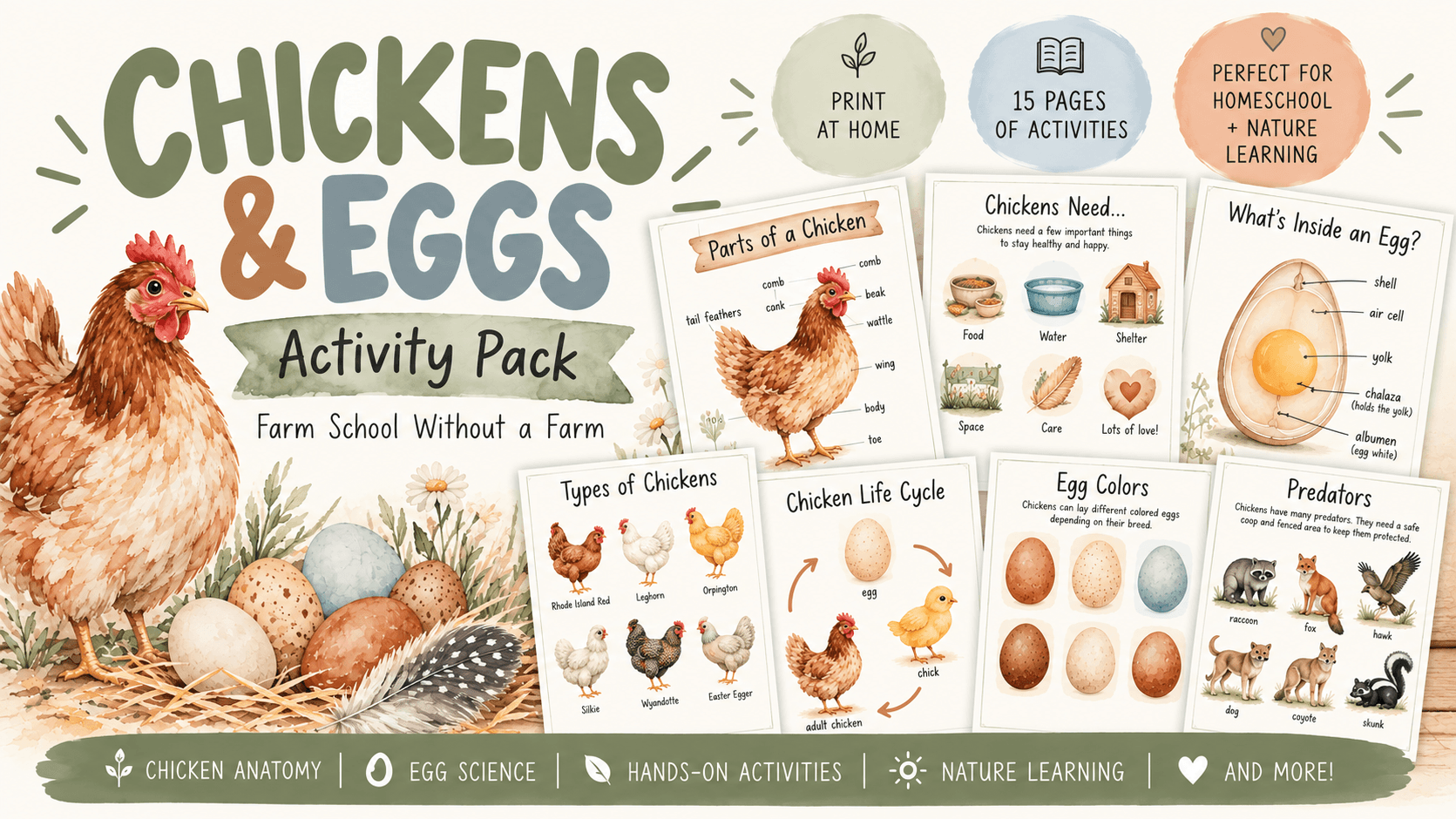 Chickens & Eggs Activity Pack 🐓