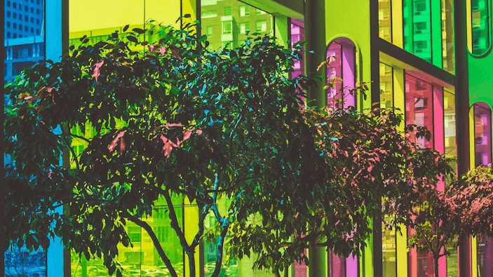 Personalised Colour Reading for 7 days