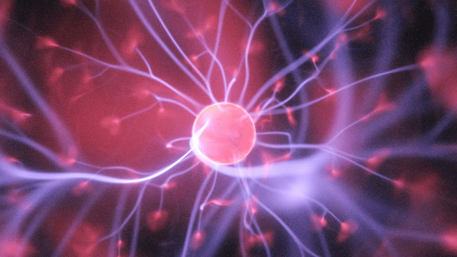 THE CAPACITY PROJECT - payments