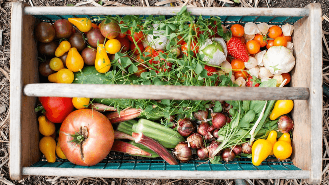 The Homestead Bundle