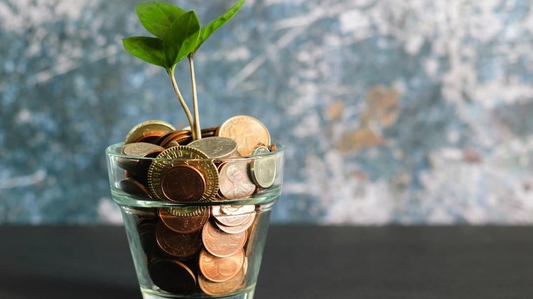 Elevate Your Wealth Consciousness
