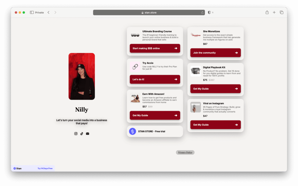 Nilly Stan Store example
