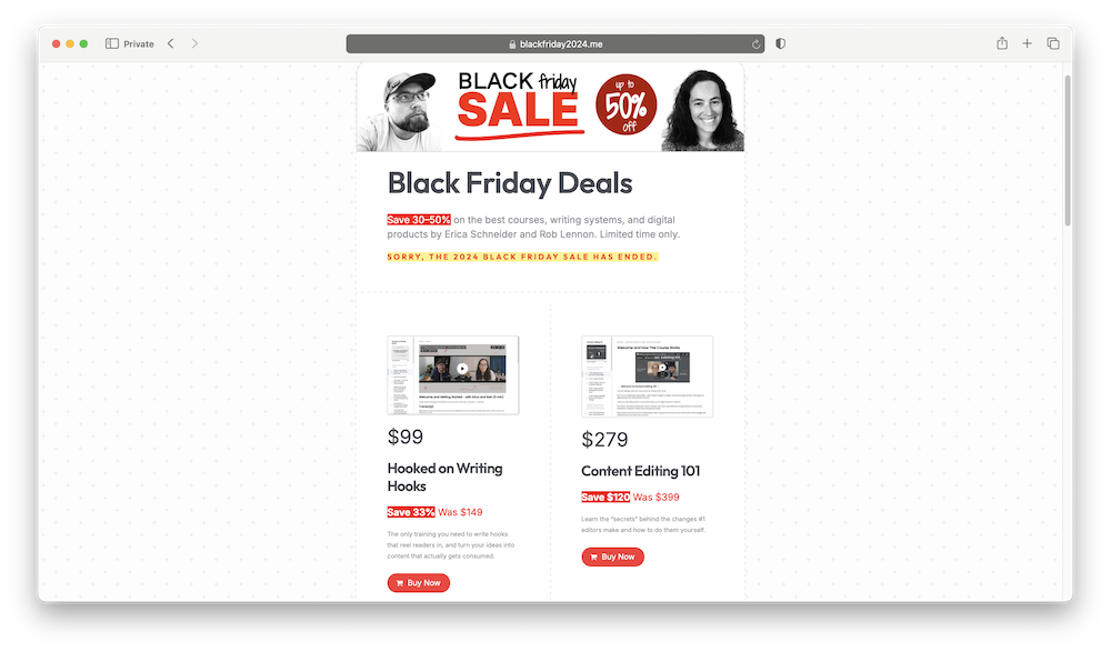 Erica Schneider BFCM example