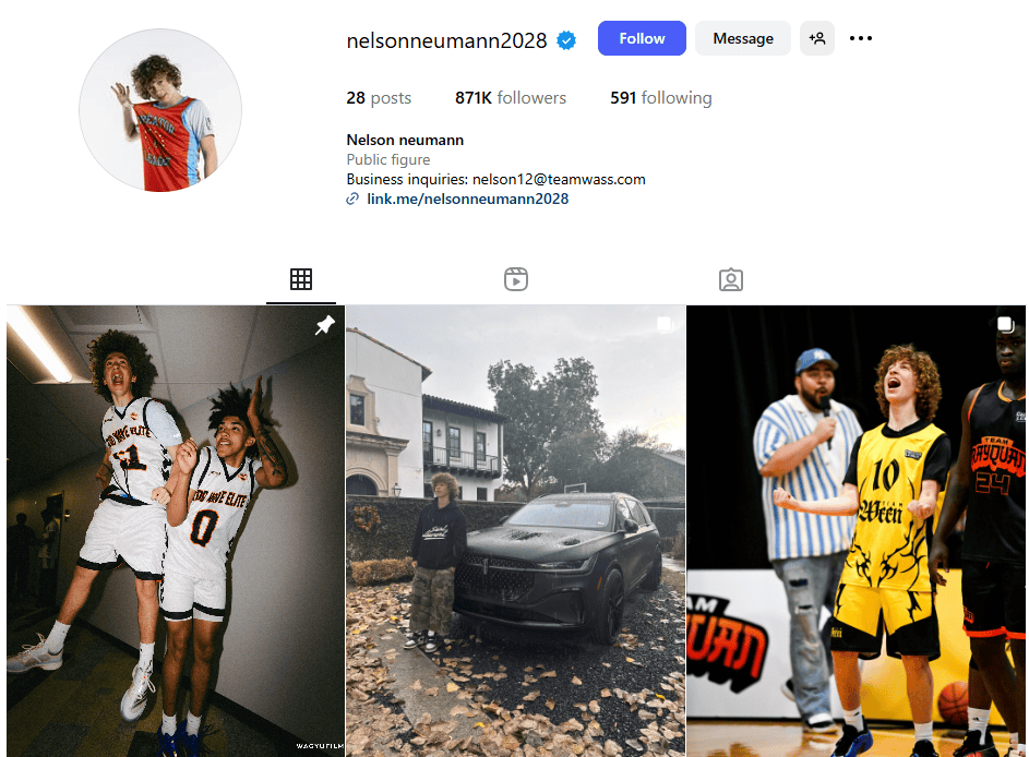 A screenshot of Nelson Neumann's Instagram page.