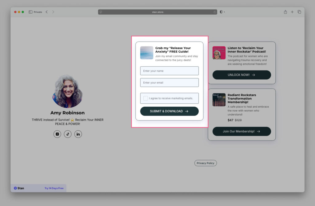 Release Your Anxiety Lead Magnet Example from Amy Robinson