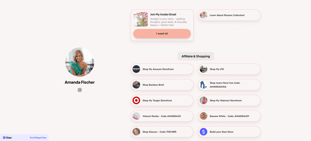 A screenshot of Amanda Fischer's Stan Store.