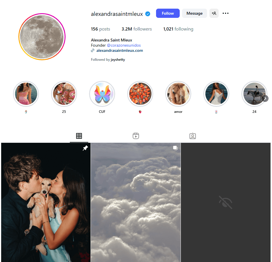 A screenshot of Alexandra Saint Mleux’s Instagram profile.