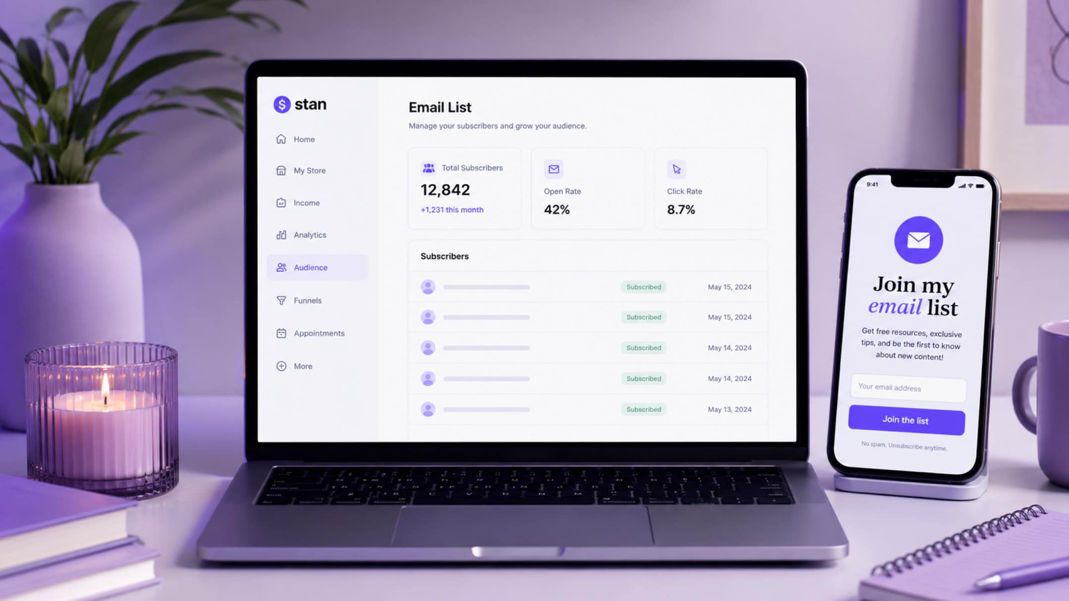 How to Grow Your Email List With a Lead Magnet on Stan Store