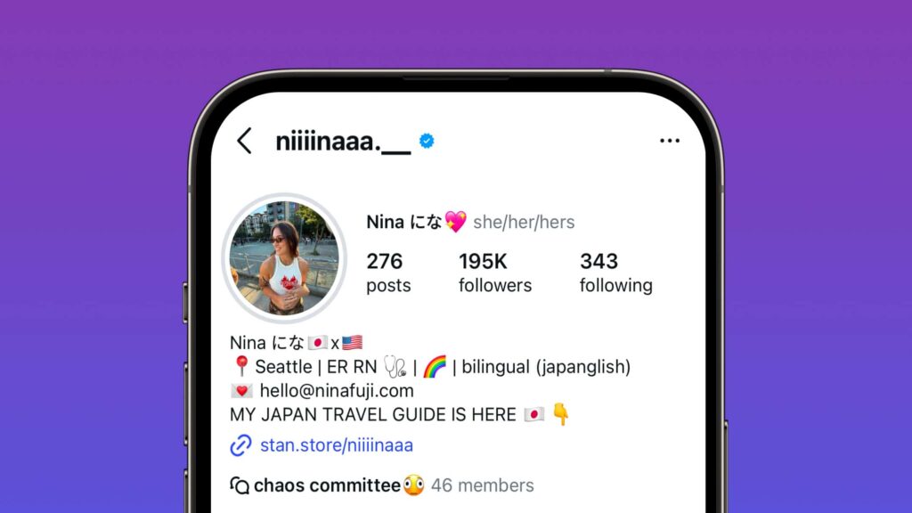 Nina Fuji Instagram Profile With Stan Store
